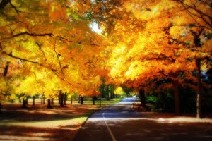 One of the easiest ways to think about images of transition, are to think about pictures which capture the changing of nature's seasons. 