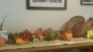 Happy Thanksgiving from our household to yours! 