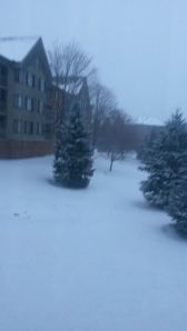 The first snow of the 2014-2015 winter