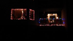 Merry Christmas from Allison and I!