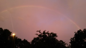 A rainbow that Allison and I saw this morning on our mini-walk at sunrise before the storm started. If ever there was a reminder of God's promises and presence in the midst of the literal storms of life, this may be it. 