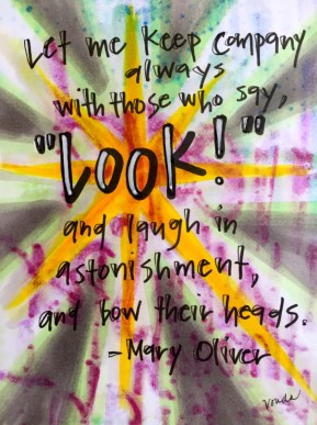 "look!" by Vonda Drees and inspired by a quote from Mary Oliver