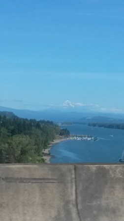 Mount Hood overlooking the Columbia River