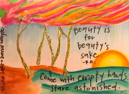 "for Beauty's sake," by Vonda Drees